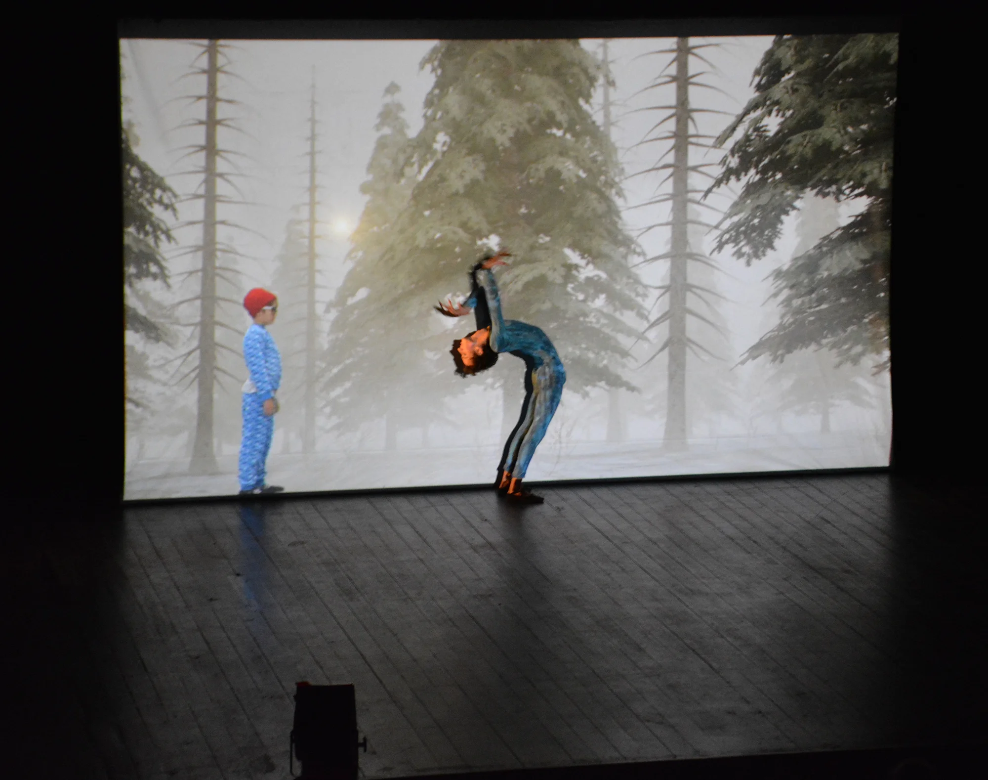 Photo 2 spectacle de noël