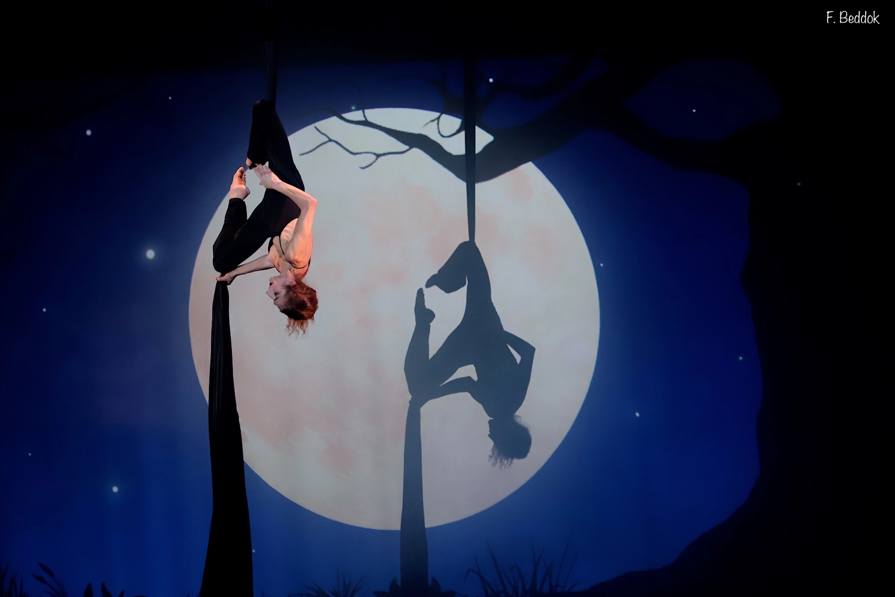 Photo 1 spectacle Zima