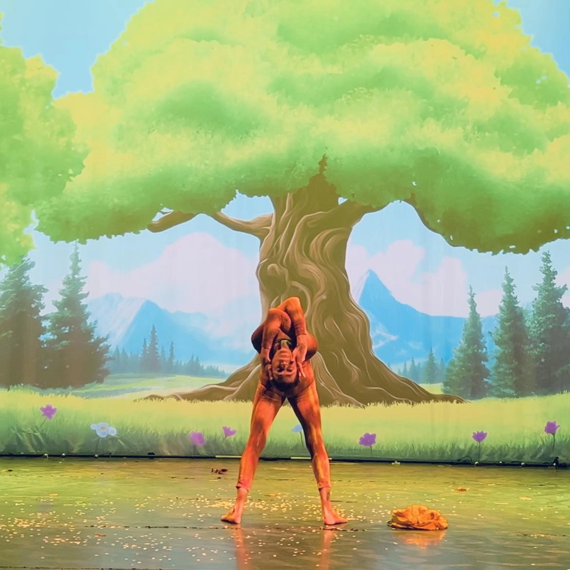 Photo 2 spectacle Zima