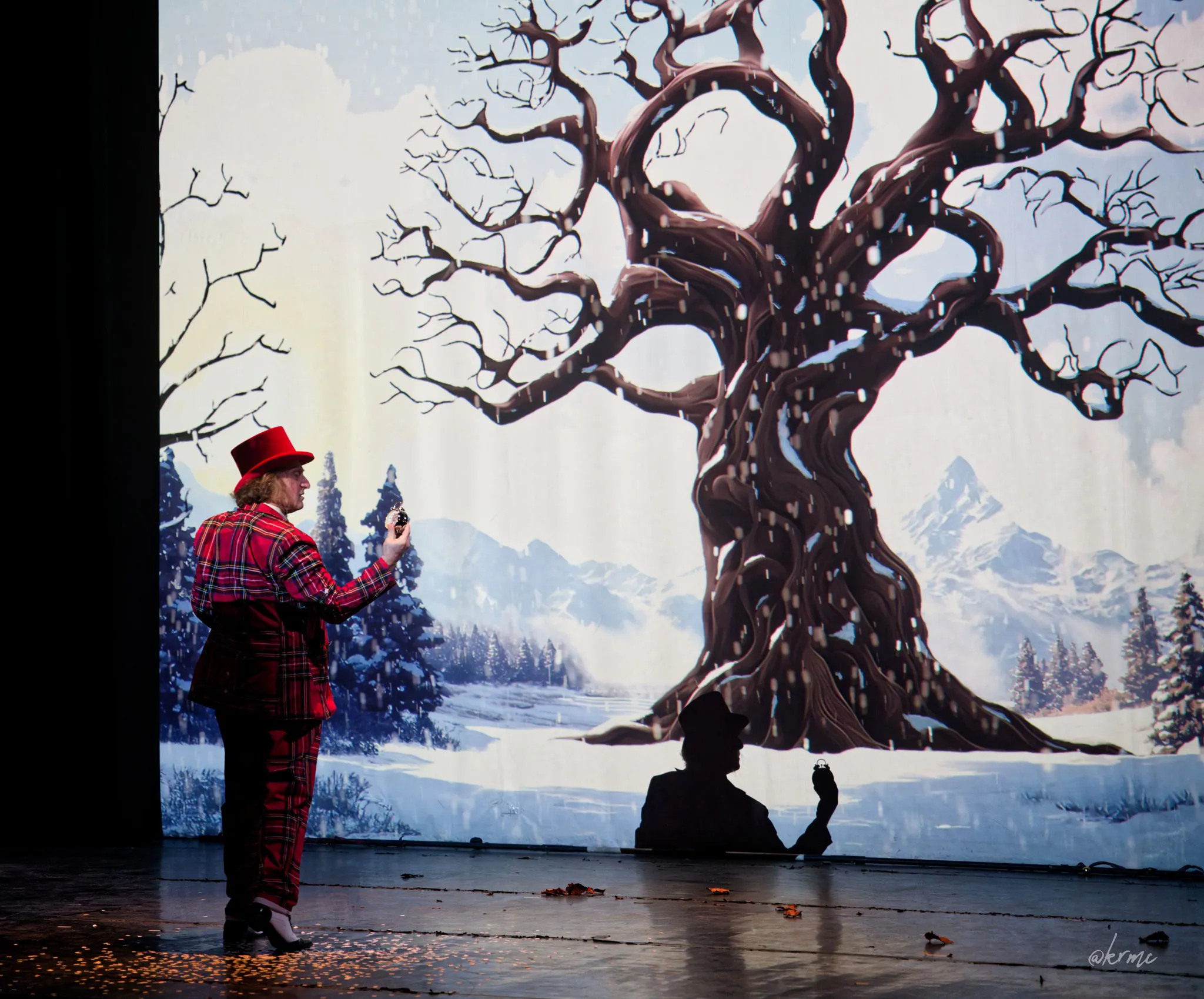 Photo 3 spectacle Zima